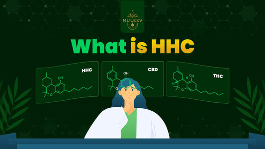 What is HHC?