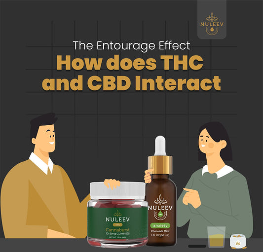 entourage effect with thc