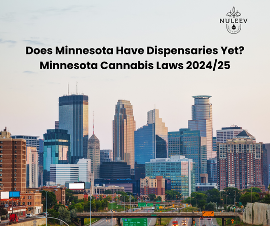 Minnesota weed dispensaries