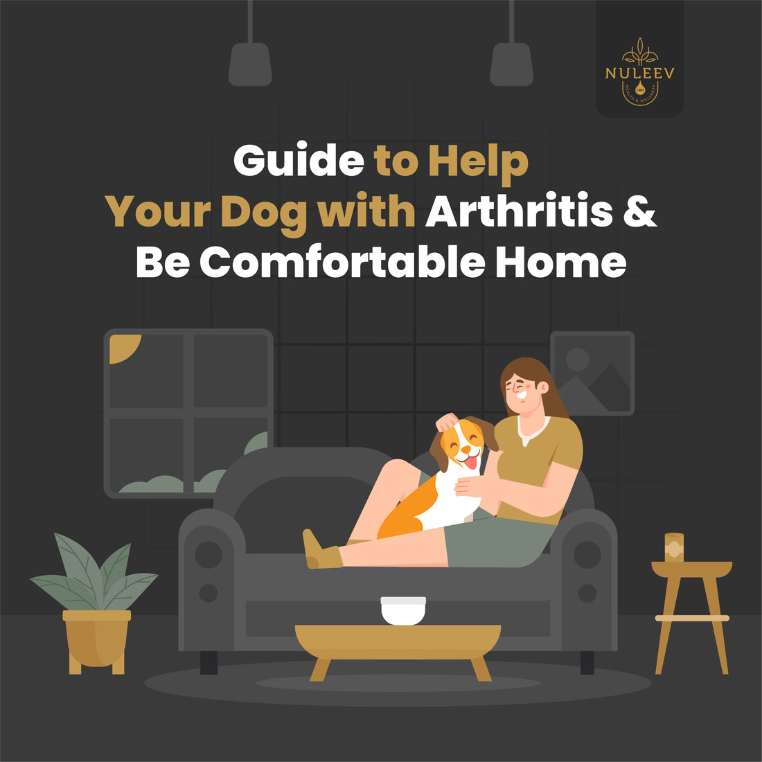 guide to help your dog with arthritis and be comfortable home