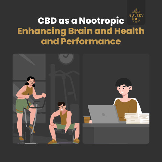 CBD as a Nootropic: Enhancing Brain and Health and Performance