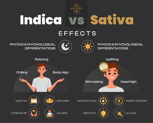 Indica Vs Sativa Cannabis Effects