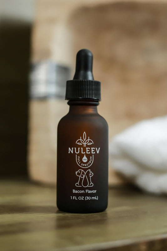 CBD Tincture for Pets